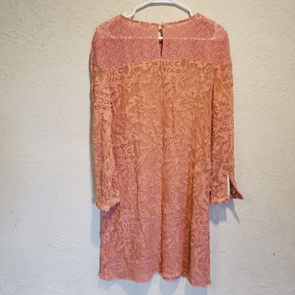 Sundance Womens Embroidered Trellis Dress Sz 8 Pink 100% Silk Sheer Boho Shift - Picture 2 of 10